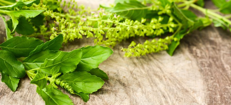 7 Adaptogenic Herbs that Help Reduce Stress