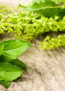 7 Adaptogenic Herbs that Help Reduce Stress
