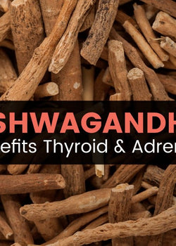 Ashwagandha Benefits Thyroid and Adrenals