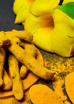 7 proven benefits of turmeric