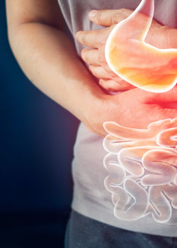 Things you ought to know about your gut.