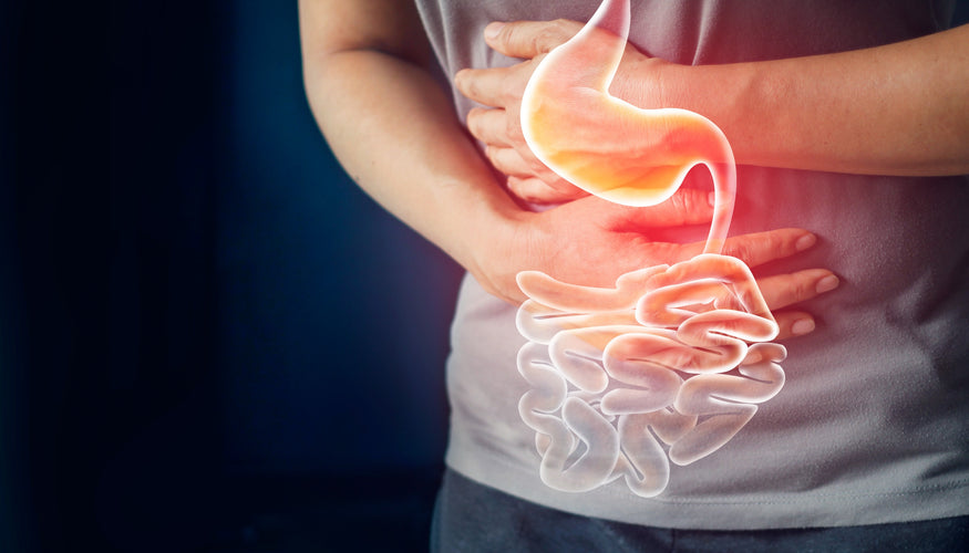 Things you ought to know about your gut.