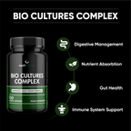 Probiotics Complex Probiotics for Adults - 120 Vegetarian Capsules - Advanced Multi-Strain - Prebiotic Inulin - Active Strains Lactobacillus Acidophilus & Bifidobacterium - UK Made Sash Vitality