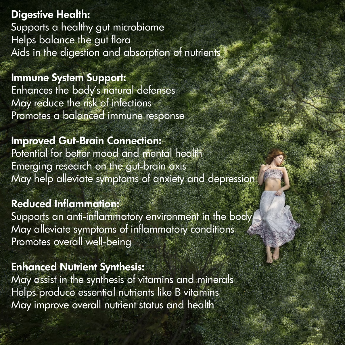 Probiotics Complex Probiotics for Adults - 120 Vegetarian Capsules - Advanced Multi-Strain - Prebiotic Inulin - Active Strains Lactobacillus Acidophilus & Bifidobacterium - UK Made Sash Vitality